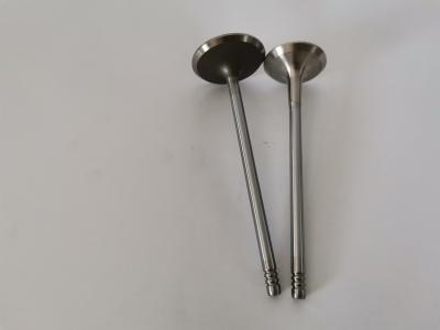 China FIAT FIRE 1.4L 8V EVO car diesel Exhaust Valve 4257EC Engine Spare Parts for sale