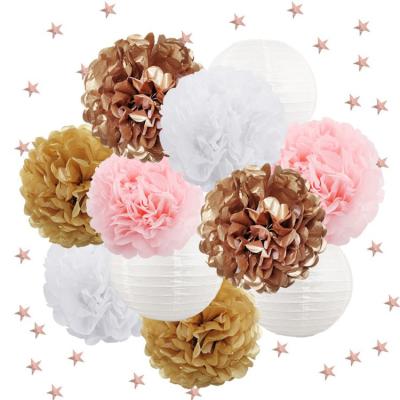 China Home Decoration Paper Pom Poms Tissue Flowers Paper Lantern for sale