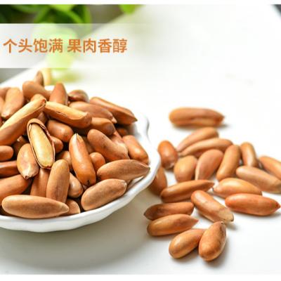 China Brazil Healthly Green Pine Nuts Natural Nutrition Nut Snacks With Shell Prices for sale