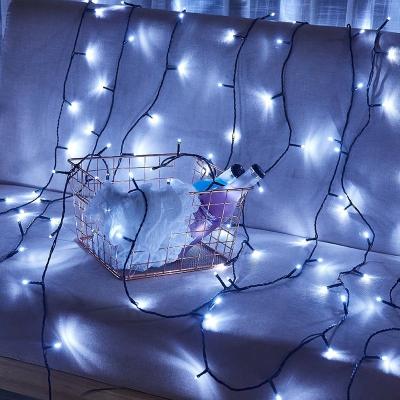 China Classic Standard AC Plug 220V 240V 120V Europe America House Holiday Lighting Outdoor LED String Christmas Lights Decoration for sale