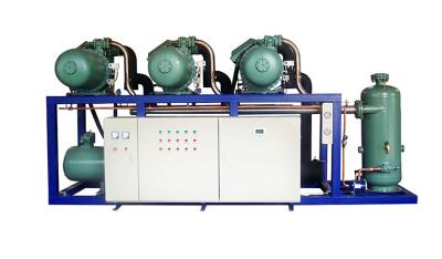 China Semi-hermetische parallelle condensorschroefcompressoreenheid -20 ℃ tot -15 ℃ Te koop