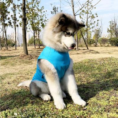 China Viable Quick Dry Iconic Blue Raincoat Fashion Dog Jacket Stylish Every Twist for sale