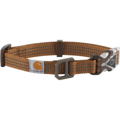 China Dog Accessories Products Supply DETACHED Lit Dog Collar for sale