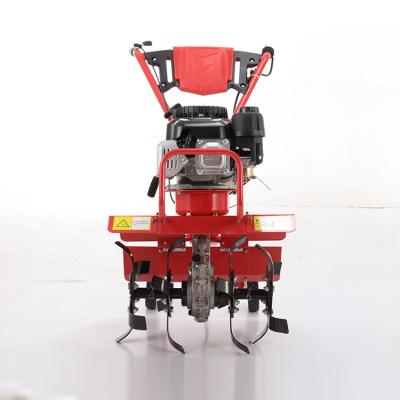 China 4-Stroke 80CM Cutting Width Gasoline 92 Standing Lawn Mower , Lawn Mower Manual for sale