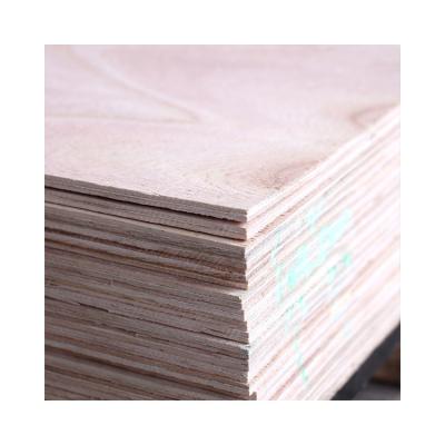 China Contemporary Wood Flexible Factory Wholesale Bending Plywood For Furniture for sale