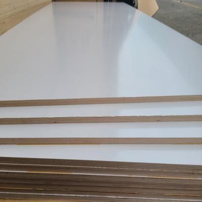 China Factory Supply E0 Poplar Eucalyptus Contemporary Environmental Friendly Melamine Plywood Multilayer Board for sale