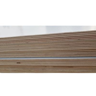 China Contemporary Yang eucalyptus solid wood multilayer paint-free board E1 veneer moisture-proof melamine plywood for sale