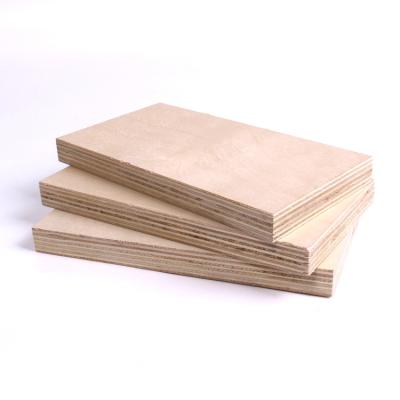 China Contemporary wholesale birch faced raw prefinish birch plywood3mm6mm12mm18mm21mmbaltic plywood bulk birch plywood for sale