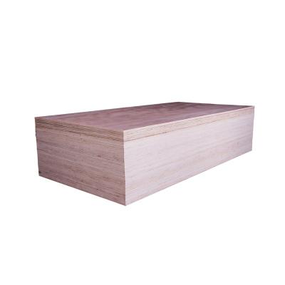 China Factory Contemporary Wholesale Lightweight Veneer Plywood Cheap Eucalyptus Wood Plywood for sale