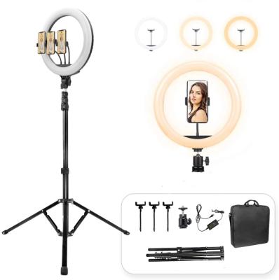 China Shine 18 Inch Led Ring Light 55w Photography Ring Lamp With Tripod Stand And Usb Remote Control For Phone Makeup Youtube Tiktok for sale