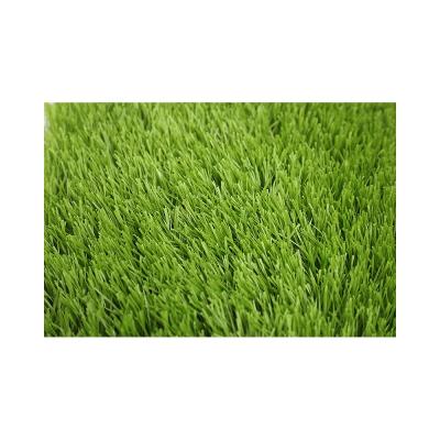 China 2021 Minimalist Customized Size Milan Grass Artificial Plant For Store for sale