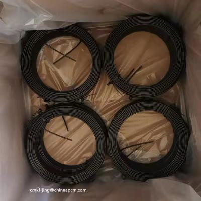 China Black Annealed Wire Annealed Wire For Coil 1kg One for sale