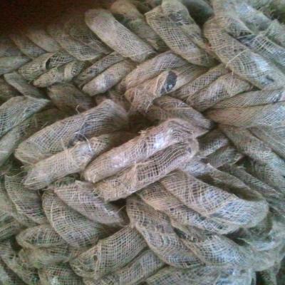 China Binding Wire 21gauge 10kg Spool Black Annealed Binding Wire From Manufacturing for sale