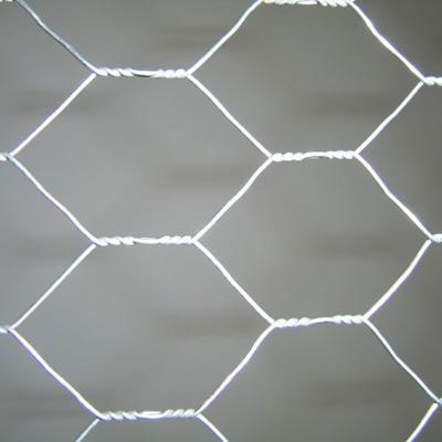 China Galvanized Hexagonal Wire Fence Mesh Hexagonal Wire Mesh Chicken Galvanized Iron Wire for sale