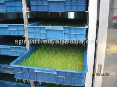 China Practical New Plastic Or PVC Stainless Steel Animal Fodder Machine for sale