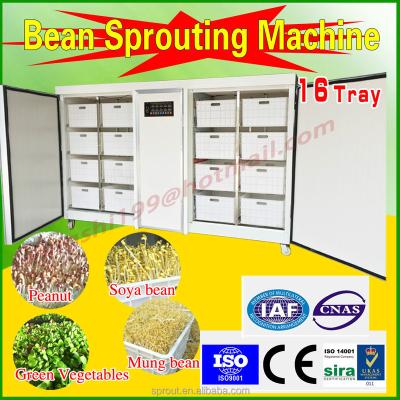 China China Full Automatic Automatic Bean Sprouts Machine, Silkworm Bean, Black Bean Sprouts Making Machine for sale