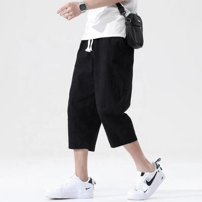 China Anti-Wrinkle Summer Linen Pants Straight Leg Drawstring Harem Pants Casual Loose Korean Fashionable Wide Leg Pants New for sale