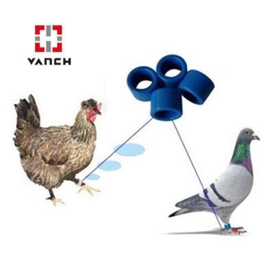 China Waterproof/860-960MHz Waterproof Foot Ring Tag For Pigeon /Chicken/ Duck Livestock UHF RFID Management for sale