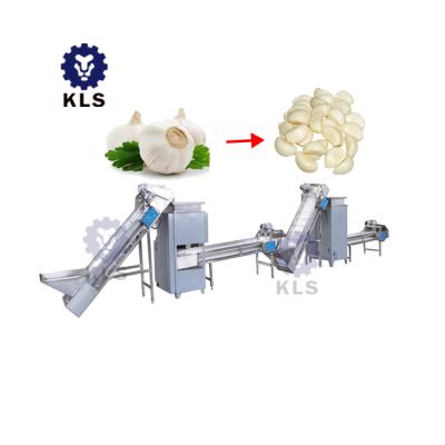 China Arlice Breaking Garlic Peeling Machine Continuous Chain Type Garlic Peeling Machine for sale