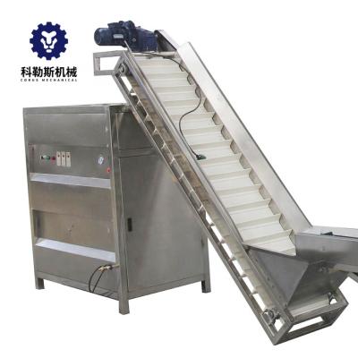 China Automatic Commercial Automatic Onion Peeler Onion Peeling Machine Industrial Continuous Dry Onions Peeling Equipment for sale