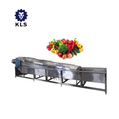 China Fruit Vegetable KLS Customized High Pressure Vegetable Washing Machine Vegetable Cleaning Machine for sale