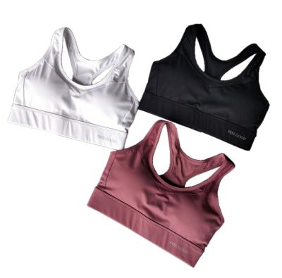 China Other Custom Sports Women Sports Bras Fitness Easy Wear Seamless Sports Bra Yoga for sale