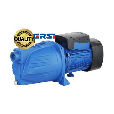 China Family Houses Electric Custom Household Jet Water Pump High Pressure Booster Auxiliary Pump for sale