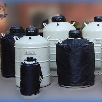 China Large Caliber Liquid Nitrogen Tank Medical Small Capacity Cryogenic Container for sale