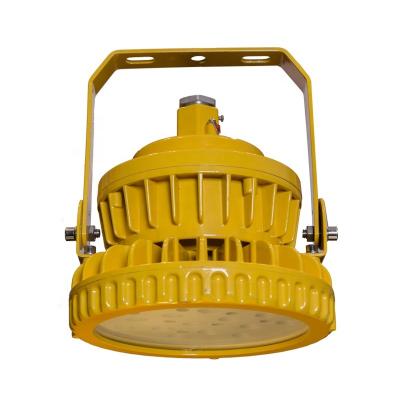 China Modern Led Explosion Proof Light With Adjustable Head IP65 Explosion Proof Light Professional Led Light for sale