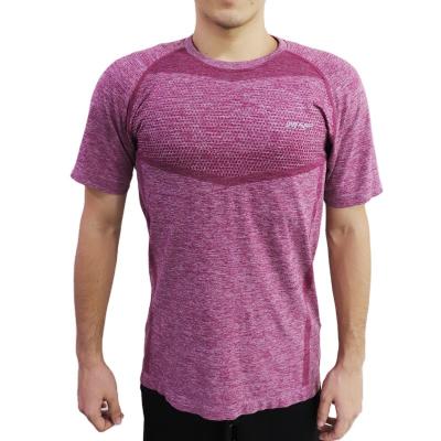 China Breathable Custom Short Sleeve Sports Tops Seamless Dry Sports Gym Wear For Men for sale