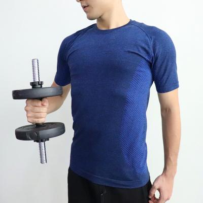 China Breathable Fitness Gym Clothes Use Custom Logo Dry Fit Muscle Men's Seamless Gym T-Shirt for sale