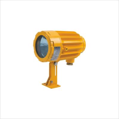 China BAK51 Series Tank Inspection Vessel LED Light Fittings Explosion Proof IP66 35W 50W for sale