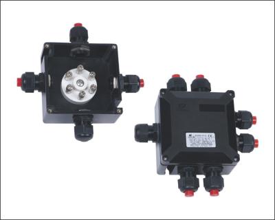 Cina BXJ8050-20/6 Serie Explosion Proof Junction Boxes Acciaio inossidabile IP65 ignifuge in vendita