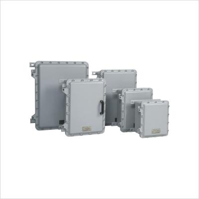 Cina BXT-□-W Serie Explosion Proof Empty Enclosures IP66 Materiale in lega di alluminio in vendita