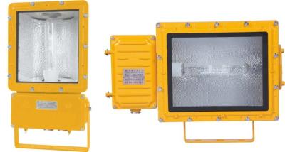 China HRT53 Explosion Proof Floodlights Hazardous Location Led Lights Waterproof Marine for sale