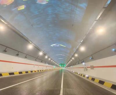 China Intelligent ROAD sensors automatically darken according to natural light intensity - perfect solution to Black Tunnel &White Tunnel Effect for sale