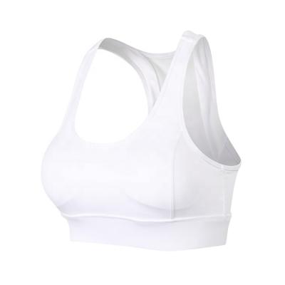 China White Breathable Quick Dry Plus Size Gym Tops Women Sports Bra Yoga for sale