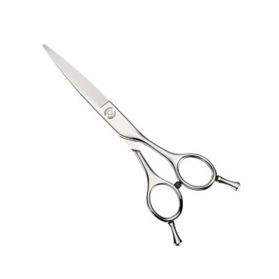 China 2021 Hot Sale Barber Shears For Right / Left Hand Professional Use for sale