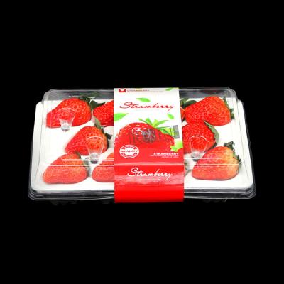 China 11 Compartments Clear Plastic Strawberry Containers Custom Waterproof for sale