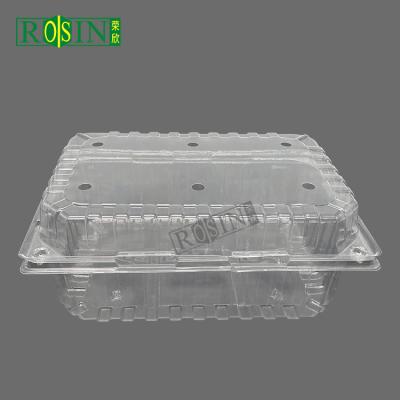 China Customizable Disposable Fruit Plastic Container Transparent With Vented Lid for sale