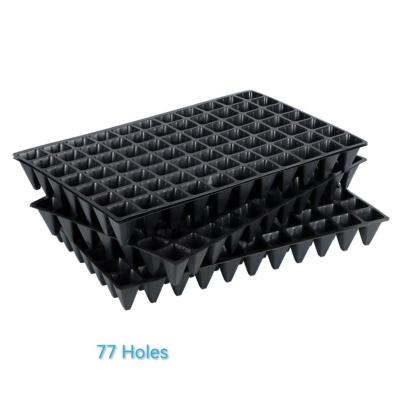 China 77 Cells Nursery Seedling Tray 1.5mm Thickness 150g Seed Starter Trays Plastic for sale