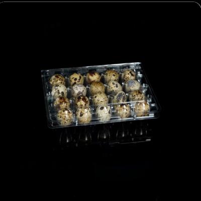 China 20 Hole Disposable Plastic Egg Packaging PET Transparent Egg Tray Portable for sale