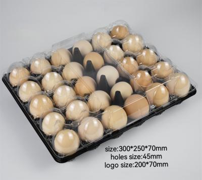 China 30 Hole Egg Carton Plastic Tray Customized With Egg Bottom And Lid Separated for sale