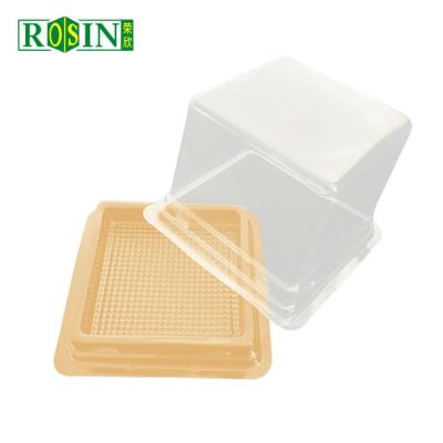 China Square Single Plastic Hinged Cupcake Containers Disposable Food Grade for sale