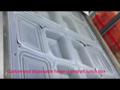 Mass production process of plastic disposable lunch boxes