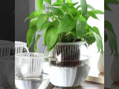 Planting Basket Greenhouse Basket