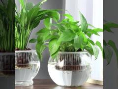 Hydroponic greenhouse planting basket