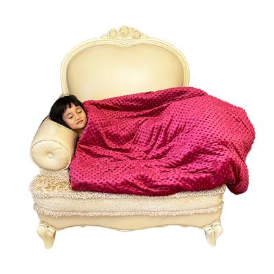 China High Quality Anti-Pull Fannel Shear Lovely Soft Baby Blanket Warm Winter Lap Blankets For Adult for sale