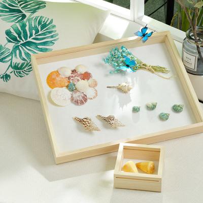 China Nordic Style Wood And Glass Shade Picture Painting Photo Frame Specimen Wooden Box for sale