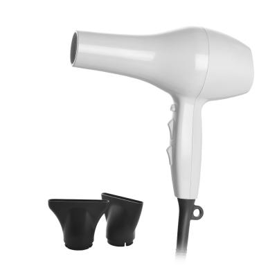 China New Arrival Outdoor Hair Styling Tool Professional Hair Dryer For Household And Hotel for sale